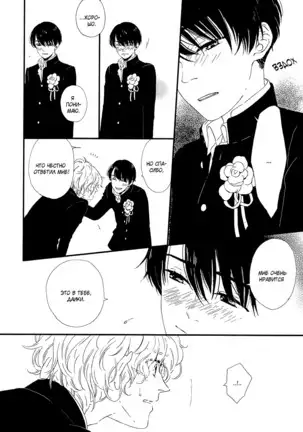 The Daydreamer Falls in Love