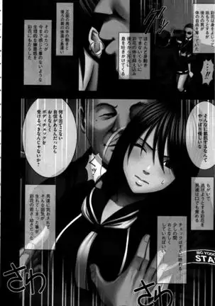 Virgin Control ~Takane no Hana o Tsumu you ni~