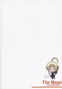 (SC24) [TAROTS (Sawano Akira)] THE MOON (Fate/stay night)