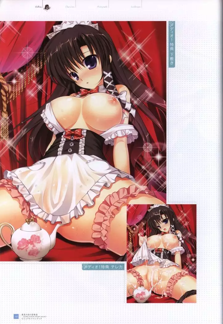 Manatsu no Yoru no Yukimonogatari -MIDSUMMER SNOW NIGHT- Visual Fanbook